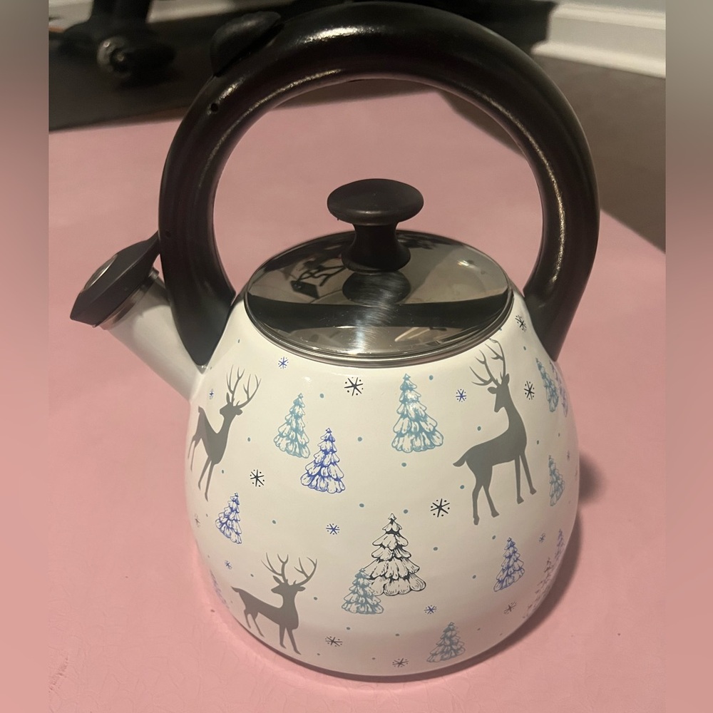 Temptations 2.6 qt Enamel on steel tea kettle